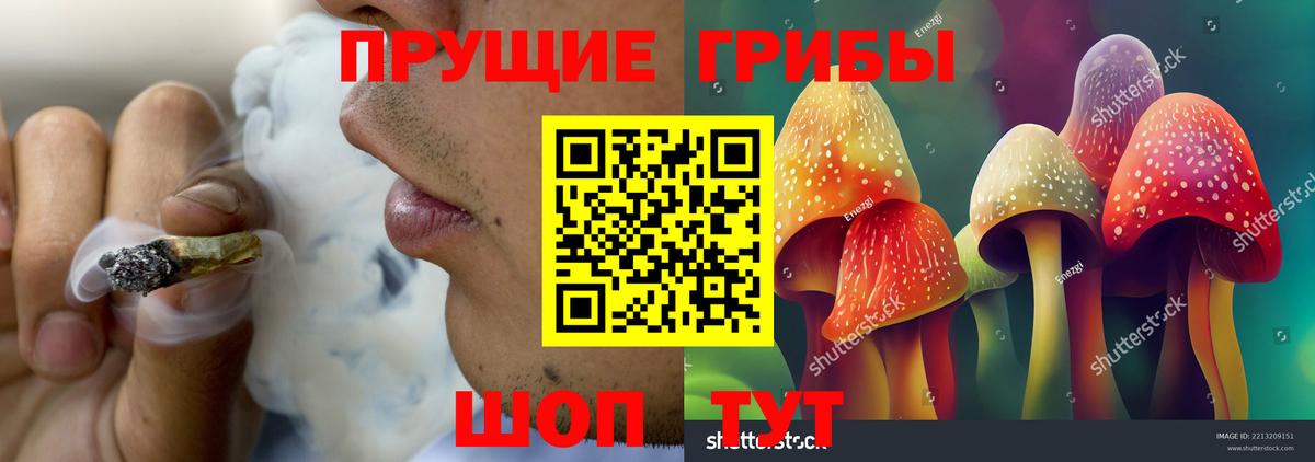 Галлюциногенные грибы MAGIC MUSHROOMS Карталы